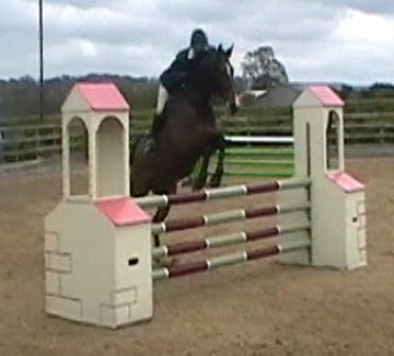 Arturos Whisker Jumping British Novice                                                                                                                                                                                                                         